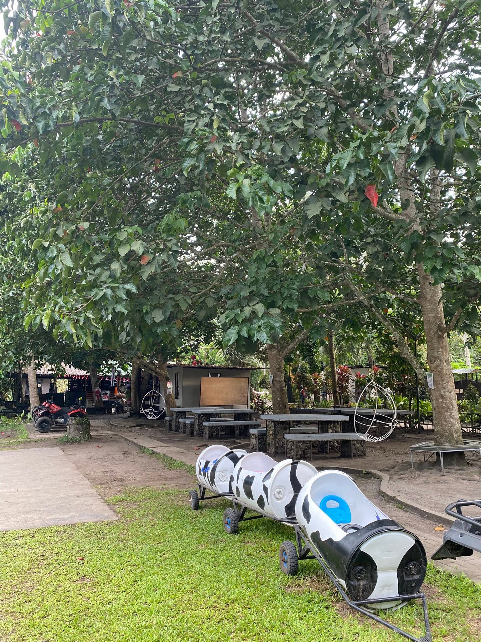 Cow-patterned Chuchu Train carriages beside shaded garden tables