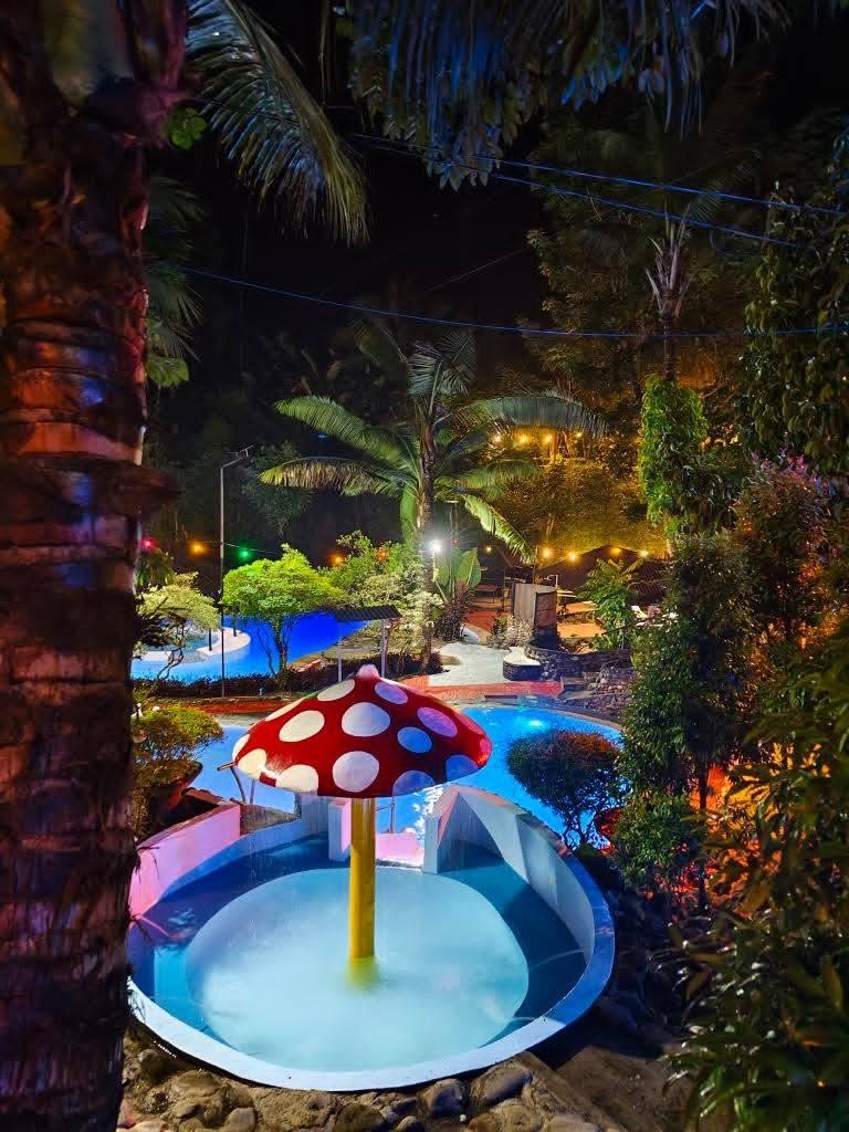 Mushroom water feature and small pool illuminated at night