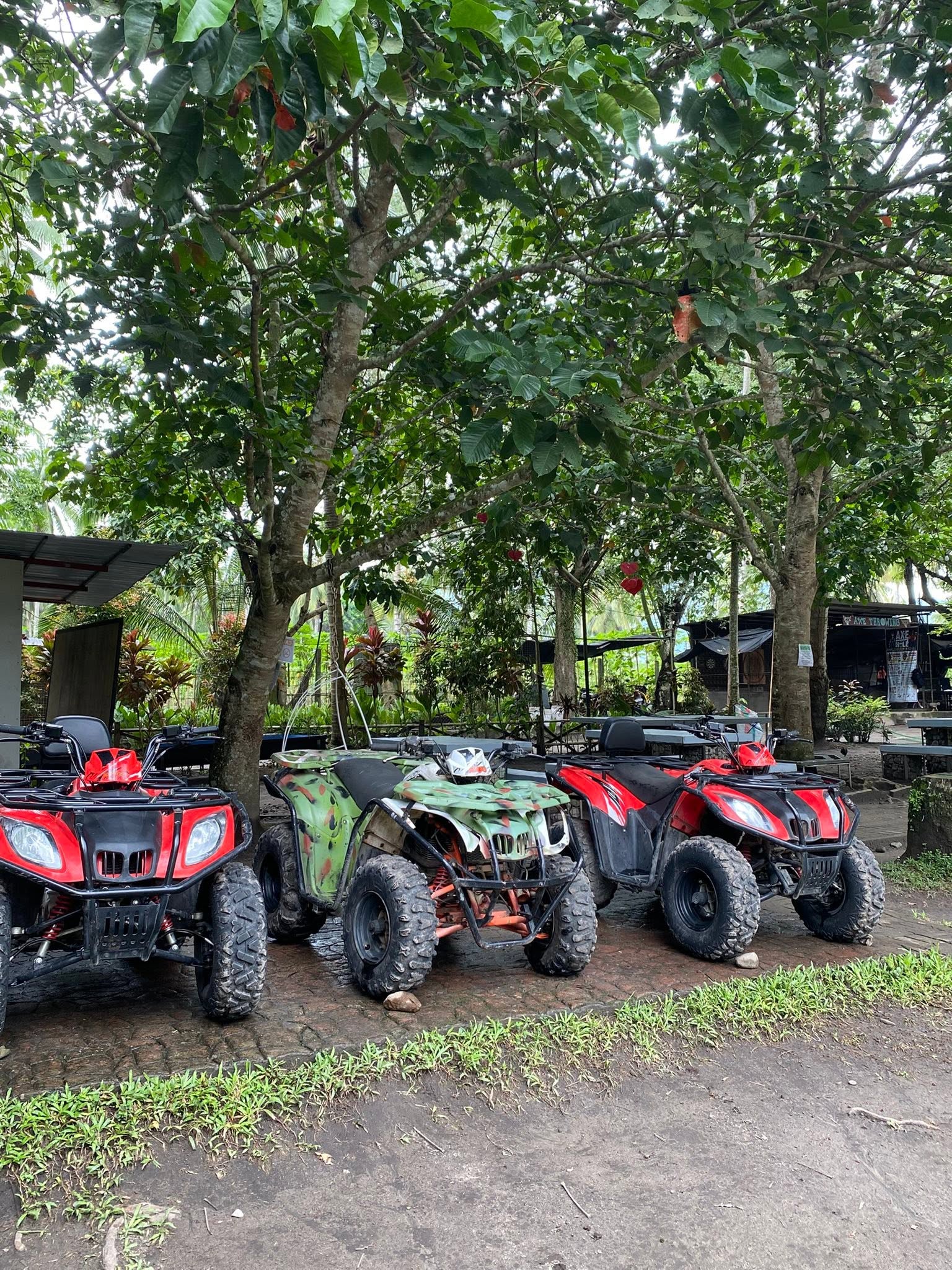 ATVs parked beneath trees at River Ranch Resort