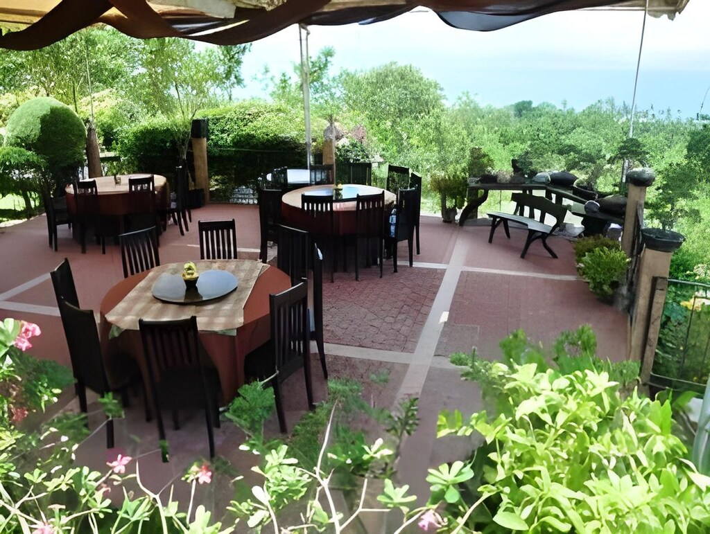 Outdoor dining terrace overlooking greenery